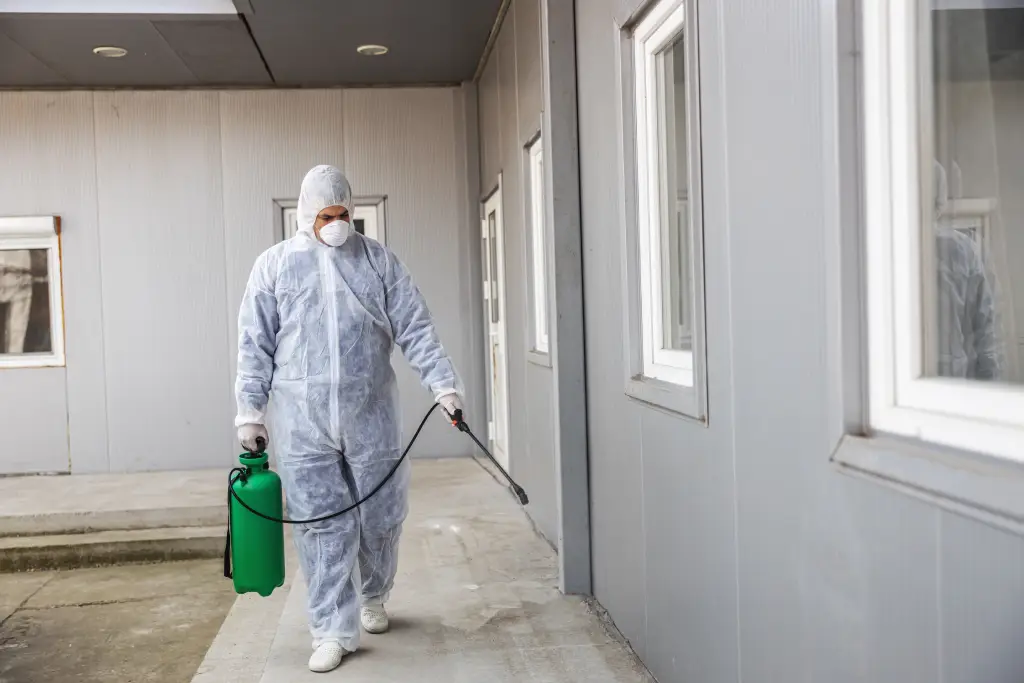 How to Safely Eliminate Bed Bugs from Your Home