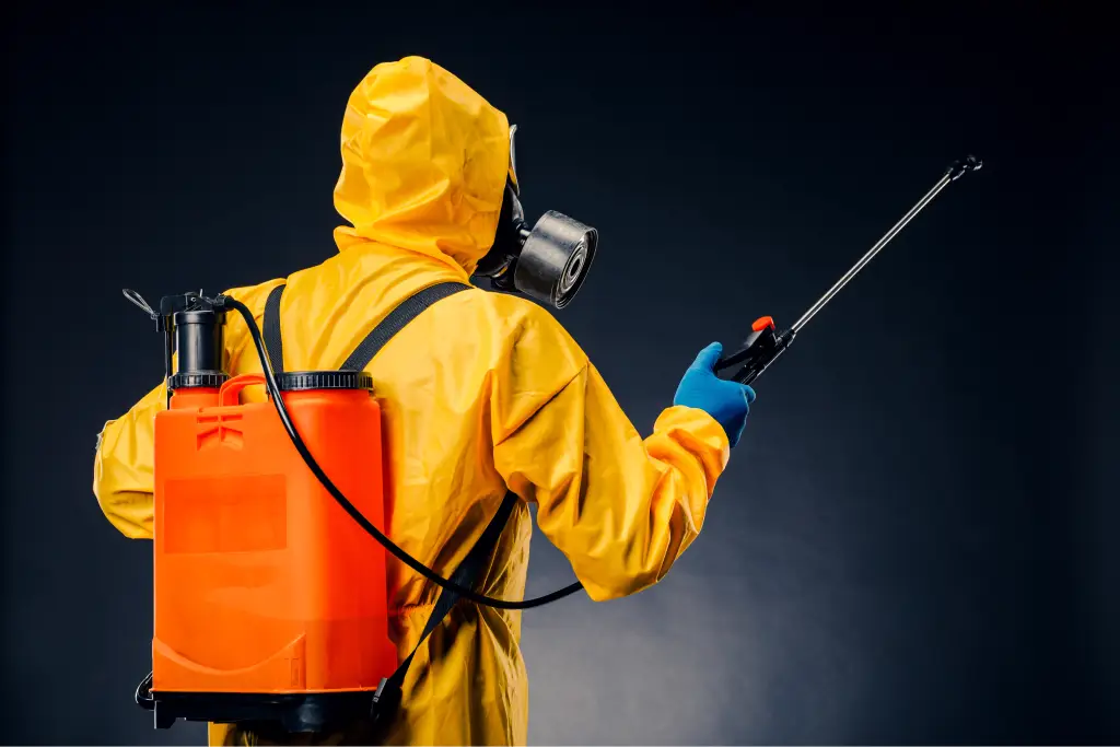 Is Your Backyard a Breeding Ground for Mosquitoes?